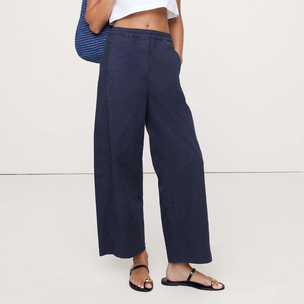 Banana Republic Navy Wide-Leg Painter Pants